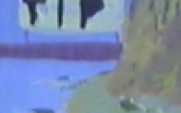 International Youth Association (TIP)