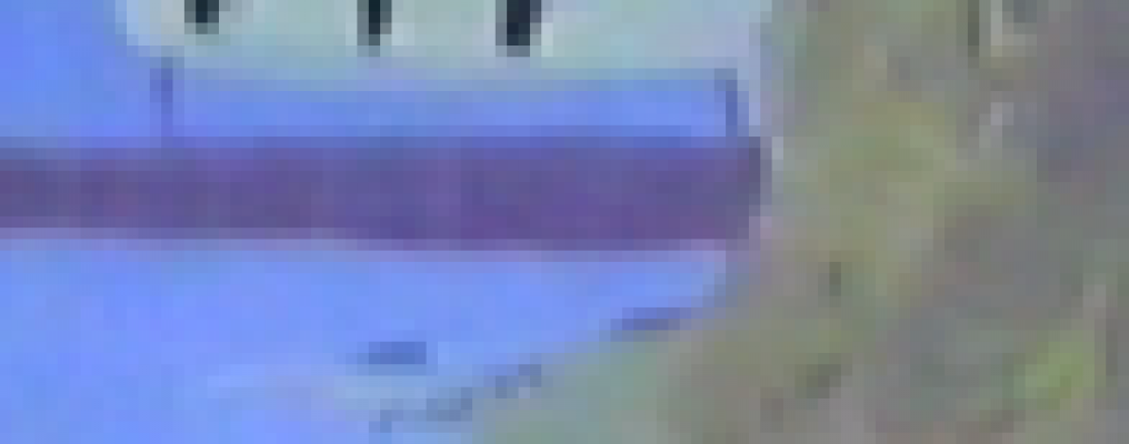 International Youth Association (TIP)