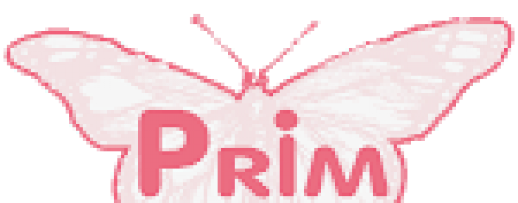 PRIM – Asociación para la protección e integración de la mujer