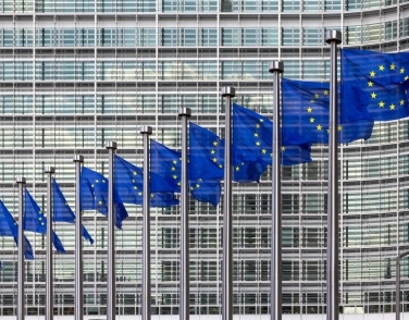 PRESS RELEASE – European Labour Authority: New agency should address labour rights of undocumented workers