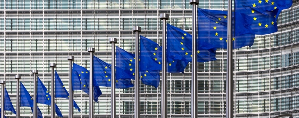 PRESS RELEASE – European Labour Authority: New agency should address labour rights of undocumented workers